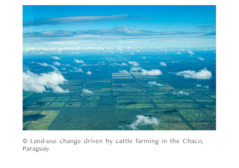 © Land-use change driven by cattle farming in the Chaco, Paraguay
