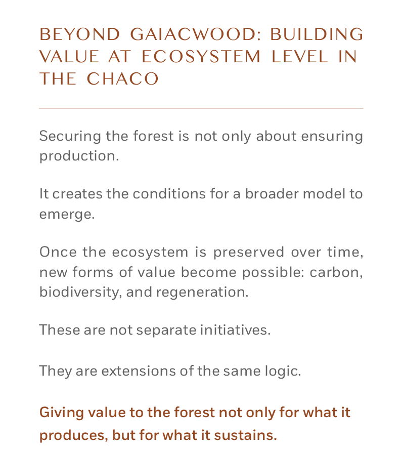 BEYOND GAIACWOOD: BUILDING VALUE AT ECOSYSTEM LEVEL IN THE CHACO Securing the forest is not only about ensuring production. It creates the conditions for a broader model to emerge. Once the ecosystem is preserved over time, new forms of value become possible: carbon, biodiversity, and regeneration. These are not separate initiatives. They are extensions of the same logic. Giving value to the forest not only for what it produces, but for what it sustains.